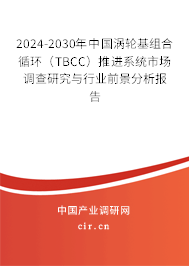 2024-2030年中國渦輪基組合循環(huán)（TBCC）推進系統(tǒng)市場調(diào)查研究與行業(yè)前景分析報告