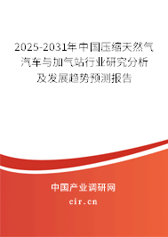 2025-2031年中國壓縮天然氣汽車與加氣站行業(yè)研究分析及發(fā)展趨勢預(yù)測報告