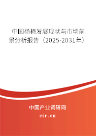 中國(guó)楊梅發(fā)展現(xiàn)狀與市場(chǎng)前景分析報(bào)告（2025-2031年）