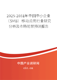2025-2031年中國中小企業(yè)（SMB）移動應(yīng)用行業(yè)研究分析及市場前景預(yù)測報告
