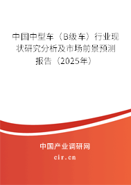 中國(guó)中型車（B級(jí)車）行業(yè)現(xiàn)狀研究分析及市場(chǎng)前景預(yù)測(cè)報(bào)告（2025年）