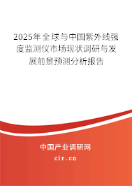 2025年全球與中國紫外線強度監(jiān)測儀市場現狀調研與發(fā)展前景預測分析報告