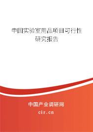 中國實驗室用品項目可行性研究報告