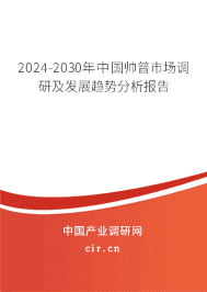 2023-2029年中國帥普市場調(diào)研及發(fā)展趨勢分析報(bào)告