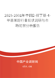 2025-2031年中國(guó)2-叔丁基-4-甲基苯酚行業(yè)現(xiàn)狀調(diào)研與市場(chǎng)前景分析報(bào)告