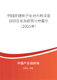 中國(guó)原鋰離子電池市場(chǎng)深度調(diào)研及發(fā)展趨勢(shì)分析報(bào)告（2025年）