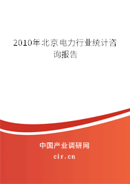 2010年北京電力行業(yè)統(tǒng)計(jì)咨詢報(bào)告