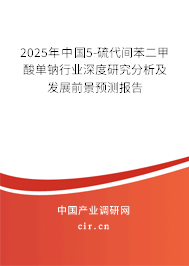 2025年中國5-硫代間苯二甲酸單鈉行業(yè)深度研究分析及發(fā)展前景預(yù)測報告