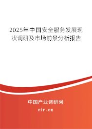2025年中國安全服務發(fā)展現(xiàn)狀調(diào)研及市場前景分析報告