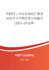 中國海上風(fēng)電安裝船行業(yè)發(fā)展研究與市場(chǎng)前景分析報(bào)告（2025-2031年）
