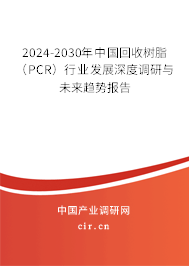 2024-2030年中國(guó)回收樹脂（PCR）行業(yè)發(fā)展深度調(diào)研與未來(lái)趨勢(shì)報(bào)告
