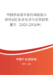 中國季胺基甲基丙烯酸酯共聚物B型發(fā)展現(xiàn)狀與前景趨勢報告（2025-2031年）