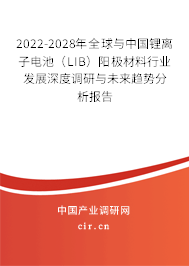 2022-2028年全球與中國鋰離子電池（LIB）陽極材料行業(yè)發(fā)展深度調(diào)研與未來趨勢分析報告