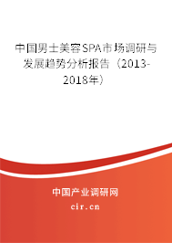 中國男士美容SPA市場調(diào)研與發(fā)展趨勢分析報告（2013-2018年）
