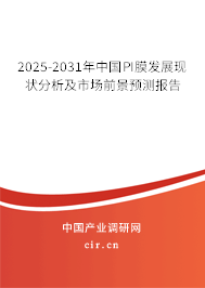 2025-2031年中國PI膜發(fā)展現(xiàn)狀分析及市場前景預測報告