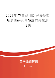 2025年中國商用廚房設(shè)備市場調(diào)查研究與發(fā)展前景預(yù)測報告