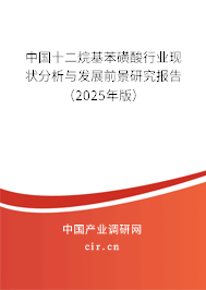 中國十二烷基苯磺酸行業(yè)現(xiàn)狀分析與發(fā)展前景研究報告（2025年版）