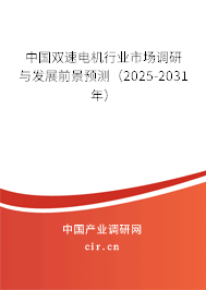 中國雙速電機(jī)行業(yè)市場(chǎng)調(diào)研與發(fā)展前景預(yù)測(cè)（2024-2030年）