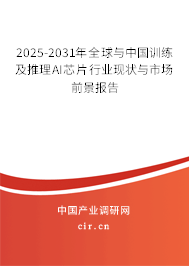 2025-2031年全球與中國訓(xùn)練及推理AI芯片行業(yè)現(xiàn)狀與市場前景報告