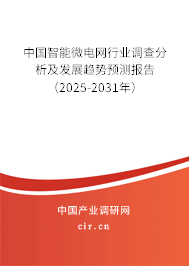 中國智能微電網(wǎng)行業(yè)調(diào)查分析及發(fā)展趨勢預(yù)測報告（2025-2031年）