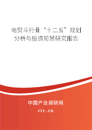 電熨斗行業(yè)“十二五”規(guī)劃分析與投資前景研究報(bào)告