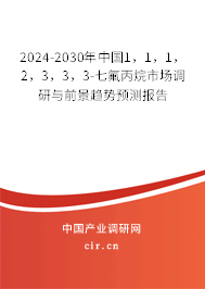 2024-2030年中國1，1，1，2，3，3，3-七氟丙烷市場調(diào)研與前景趨勢預(yù)測報告