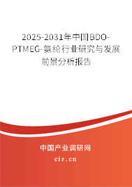 2025-2031年中國(guó)BDO-PTMEG-氨綸行業(yè)研究與發(fā)展前景分析報(bào)告