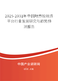2025-2031年中國(guó)地方投融資平臺(tái)行業(yè)發(fā)展研究與趨勢(shì)預(yù)測(cè)報(bào)告