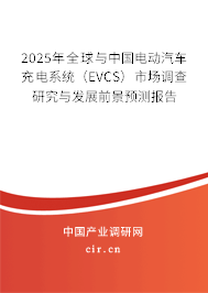 2025年全球與中國電動汽車充電系統(tǒng)（EVCS）市場調(diào)查研究與發(fā)展前景預(yù)測報告
