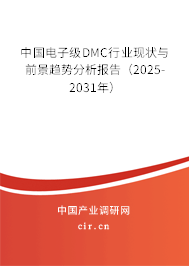 中國電子級DMC行業(yè)現(xiàn)狀與前景趨勢分析報告（2025-2031年）