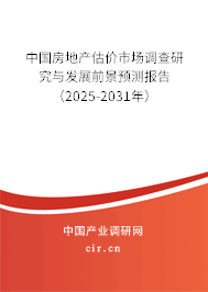 中國(guó)房地產(chǎn)估價(jià)市場(chǎng)調(diào)查研究與發(fā)展前景預(yù)測(cè)報(bào)告（2025-2031年）