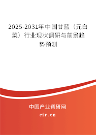 2025-2031年中國甘藍(lán)（元白菜）行業(yè)現(xiàn)狀調(diào)研與前景趨勢預(yù)測