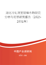 湖北冷軋薄寬鋼帶市場(chǎng)研究分析與前景趨勢(shì)報(bào)告（2025-2031年）