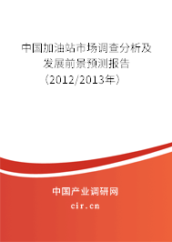 中國(guó)加油站市場(chǎng)調(diào)查分析及發(fā)展前景預(yù)測(cè)報(bào)告（2012/2013年）