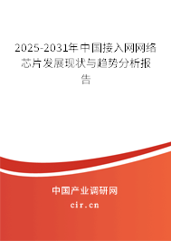 2025-2031年中國(guó)接入網(wǎng)網(wǎng)絡(luò)芯片發(fā)展現(xiàn)狀與趨勢(shì)分析報(bào)告