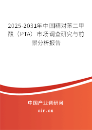2025-2031年中國精對苯二甲酸（PTA）市場調(diào)查研究與前景分析報告