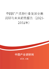 中國礦產(chǎn)資源行業(yè)發(fā)展全面調(diào)研與未來趨勢報告（2025-2031年）
