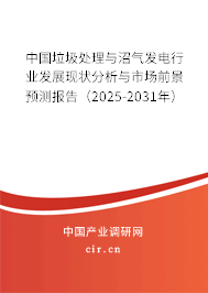 中國垃圾處理與沼氣發(fā)電行業(yè)發(fā)展現(xiàn)狀分析與市場前景預測報告（2025-2031年）