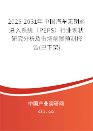 2025-2031年中國汽車無鑰匙進(jìn)入系統(tǒng)（PEPS）行業(yè)現(xiàn)狀研究分析及市場前景預(yù)測報告(已下架)