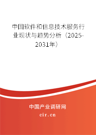 中國軟件和信息技術(shù)服務(wù)行業(yè)現(xiàn)狀與趨勢分析（2025-2031年）
