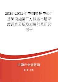 2025-2031年中國(guó)數(shù)據(jù)中心IT基礎(chǔ)設(shè)施第三方服務(wù)市場(chǎng)深度調(diào)查分析及發(fā)展前景研究報(bào)告