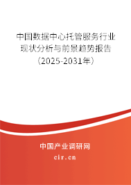 中國數(shù)據(jù)中心托管服務(wù)行業(yè)現(xiàn)狀分析與前景趨勢報(bào)告（2025-2031年）