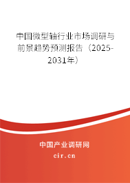 中國微型軸行業(yè)市場調(diào)研與前景趨勢預(yù)測報告（2025-2031年）