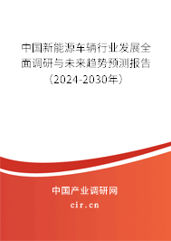 中國(guó)新能源車輛行業(yè)發(fā)展全面調(diào)研與未來(lái)趨勢(shì)預(yù)測(cè)報(bào)告（2024-2030年）