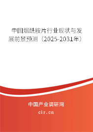 中國煙酰胺片行業(yè)現(xiàn)狀與發(fā)展前景預(yù)測（2025-2031年）