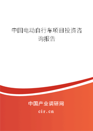 中國電動自行車項(xiàng)目投資咨詢報告