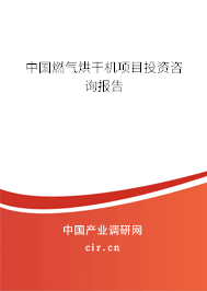 中國燃?xì)夂娓蓹C(jī)項(xiàng)目投資咨詢報(bào)告