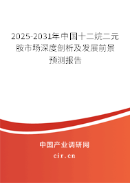 2025-2031年中國十二烷二元胺市場深度剖析及發(fā)展前景預(yù)測報(bào)告