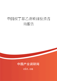 中國叔丁基乙炔項(xiàng)目投資咨詢報(bào)告