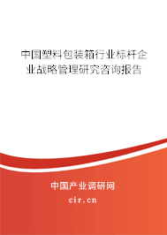 中國塑料包裝箱行業(yè)標(biāo)桿企業(yè)戰(zhàn)略管理研究咨詢報告
